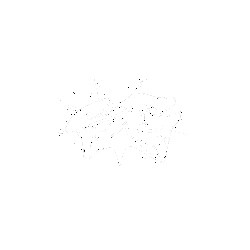 Stargazed clothing
